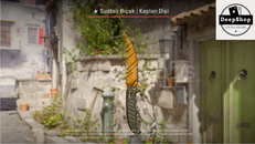 ★ Flip Knife | Tiger Tooth (Factory New)