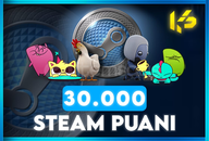 ⭐[GÜVENLİ + HIZLI] 30.000 Steam Puanı