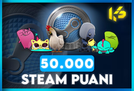 ⭐[GÜVENLİ + HIZLI] 50.000 Steam Puanı