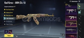 Güzeş mainlik hesap