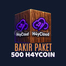 H4y Cloud Server Bakır Paket