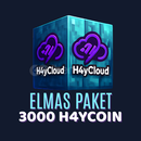 H4y Cloud Server Elmas Paket