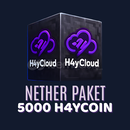 H4y Cloud Server Nether Paket