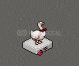 Habbo Kaz Arkadaş Nadiresi