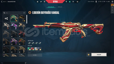 HADİSEDEN GÜZEL HESAP HADİSE BİLE KISKANIYOR