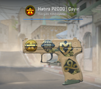 Hatıra P2000 | Çayır