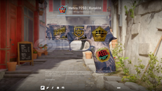 Hatıra P250 | Kuraklık Hatıra P250 | Kuraklık