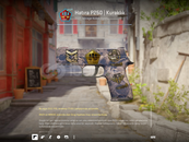 ⭐HATIRA P250 | KURAKLIK⭐