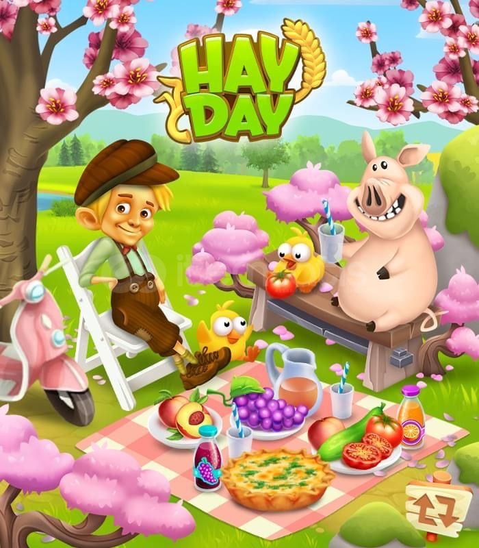 Hayday Tedarik Hayday Tedarik