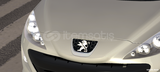 HD Logo 207 Peugeout