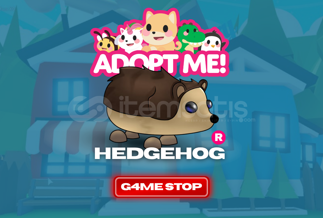⭐ Hedgehog ⭐ Ride ⭐  ⭐ Hedgehog ⭐ Ride ⭐