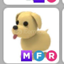 HEDİYELİ MFR DOG HEDİYELİ MFR DOG
