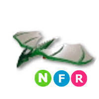 HEDİYELİ NFR WYHERN  HEDİYELİ NFR WYHERN