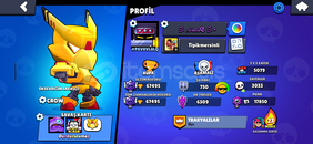 HEMEN HEMEN 70K HESAP PRO PASSLI HESAP