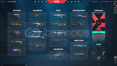 HER SİLAHTA SKİN BEDAVA 