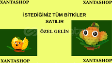 Her Türlü Bitki Bulunur