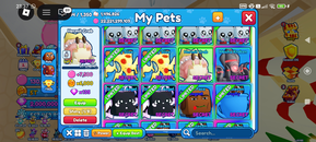 Hermit Crab Hermit Crab