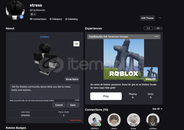 HEROES BATTLEGROUNDS VIPLI HESAP