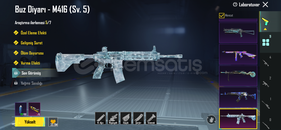 hesabim satiliktir 67 seviyedir butun bag acik