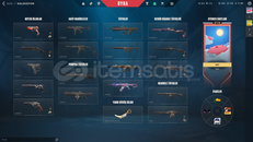 HESAP RANKSIZDIR +1 OLARAK VANDALDA ONİ VARDIR 