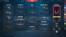 Hesapta toplam 133 tane skin var 116 level !! 