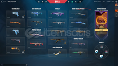 Hesapta toplam 140 tane skin var 312 level !!