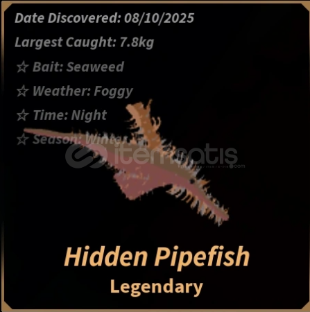 Hexed Hidden Pipefish Fisch Hexed Hidden Pipefish Fisch