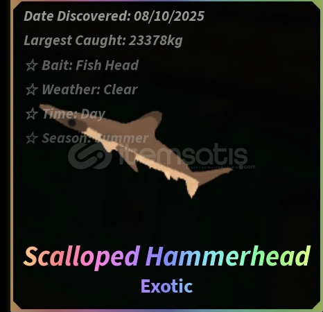 Hexed Scalloped Hammerhead fisch Hexed Scalloped Hammerhead fisch