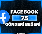 ⭐️[HIZLI]⭐️ 75 Gönderi Beğeni | Facebook