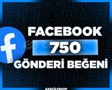 ⭐️[HIZLI]⭐️ 750 Gönderi Beğeni | Facebook