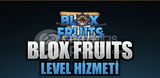 Hızlı LvL Kasma Hizmeti Blox Fruit Ucuz!
