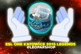 ⭐HIZLI TESLİMAT⭐ESL One Katowice 2015 Legends