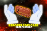 ⭐HIZLI TESLİMAT⭐eSports 2013 Case - CS 2