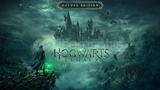 Hogwarts Legacy Deluxe Edition+destek
