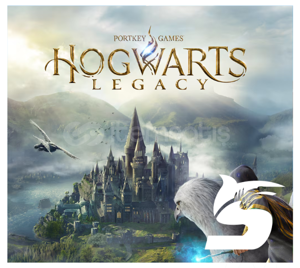 Hogwarts Legacy & PS4 PS5  Hogwarts Legacy & PS4 PS5