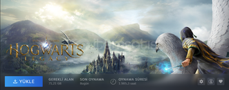 Hogwarts Legacy / STEAM