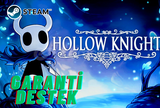 HOLLOW KNİGHT - KİŞİYE ÖZEL HESAP