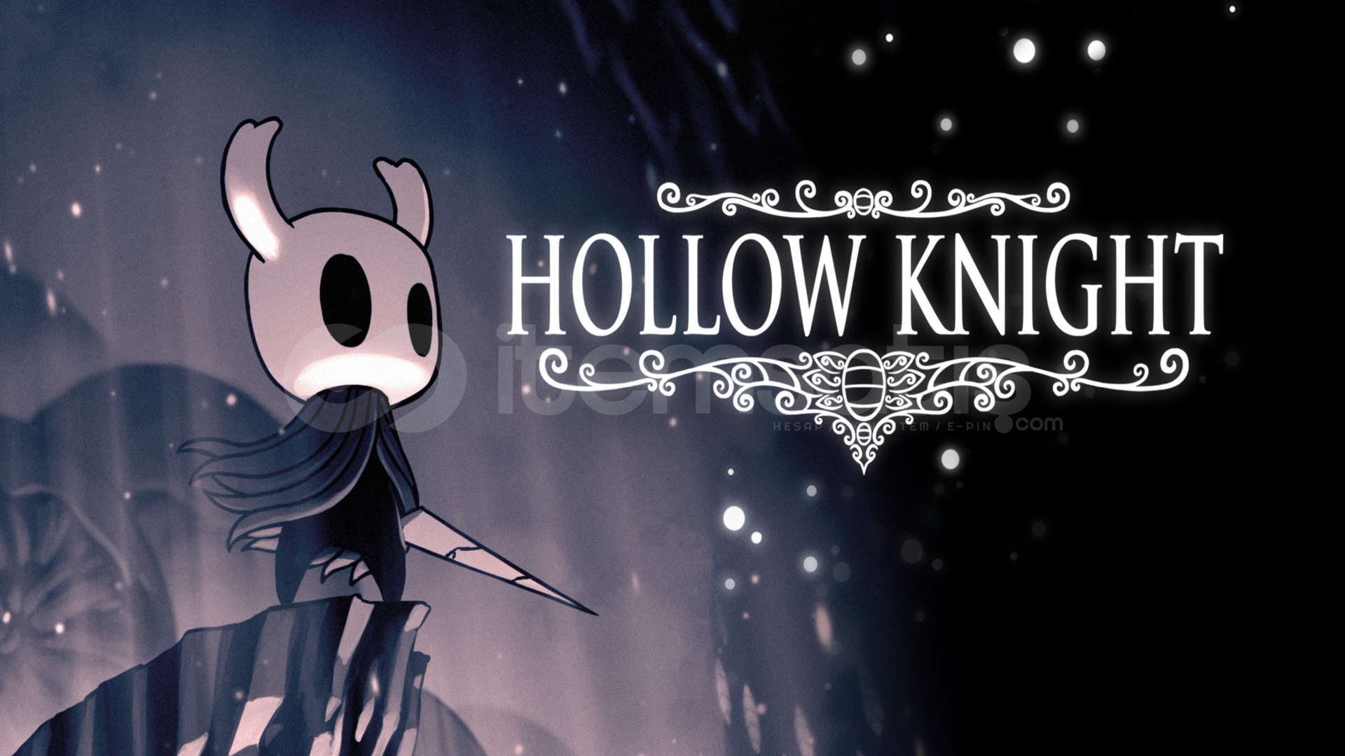 Hollow Knight  Hollow Knight