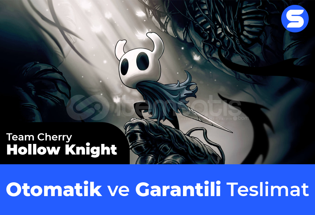 Hollow Knight Hollow Knight