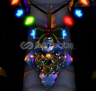 Holly All Seeing eye (HASE Holly ASE)