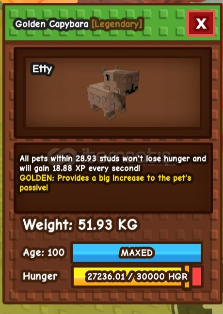 Huge golden capybara neredeyse 52kg Huge golden capybara neredeyse 52kg