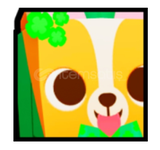 Huge leprechaun corgi 