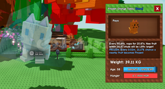 Semi Titanıc Orange Tabby