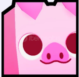 Huge Piggy(16x)