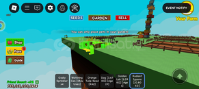 Huge Radiant iguana 20kg