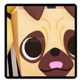 Huge Robber Pug