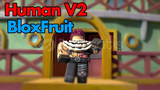 HUMAN V2 boost hizmeti