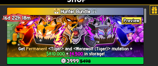 Hunter Bundle / Blox Fruits