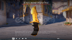 Huntsman Tiger Tooth Huntsman Tiger Tooth