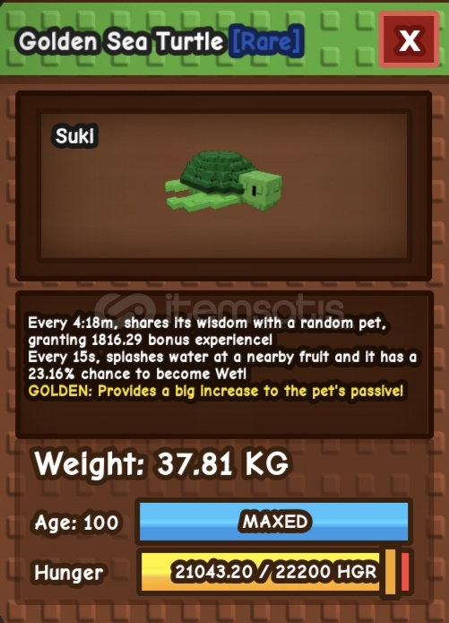 ⭐ Huwe sea turtlE (ACIKLAMA OKU) ⭐ Huwe sea turtlE (ACIKLAMA OKU)